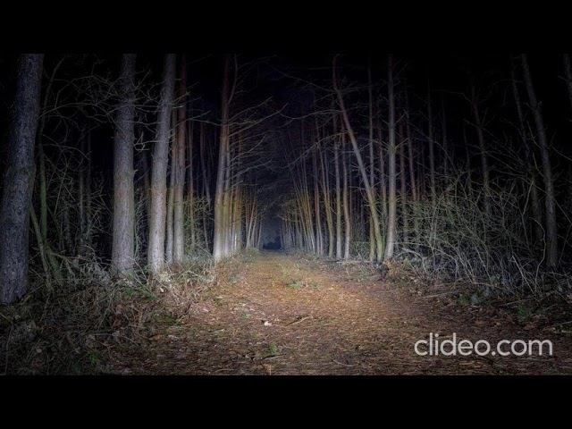 страшные истории. напало в подмосковном лесу смотреть онлайн
