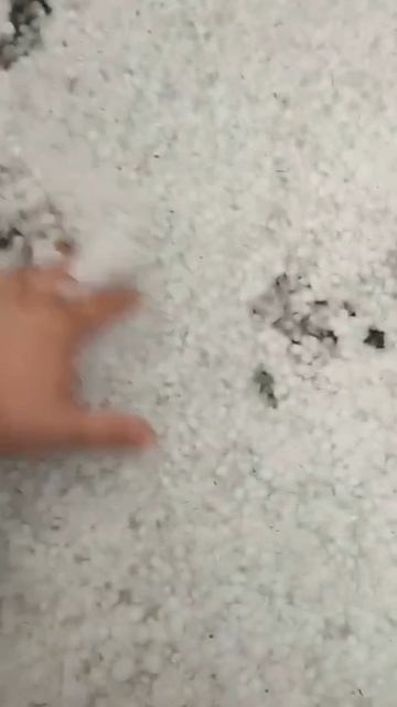 23.04.2025 г. Град в Ставрополе смотреть онлайн