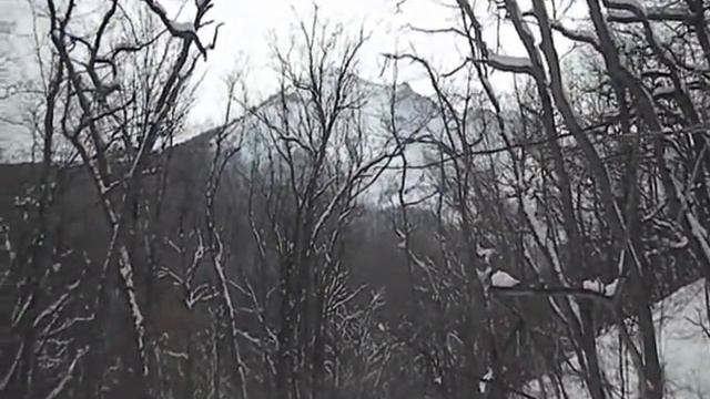 выживальщики "Серый Волк" (1 часть).wmv смотреть онлайн
