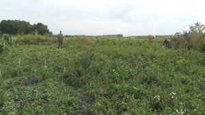 Виталий Калинников снимает и комментирует работу на огороде.   31. 08. 2018