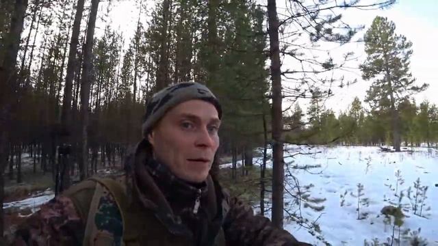 преследую лосей,болтаюсь по тайге,разведую новые места смотреть онлайн