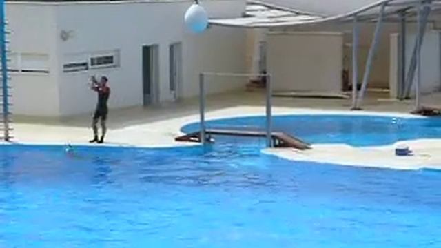 «Акваполис»1 смотреть онлайн