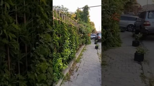 Отель Флагман смотреть онлайн