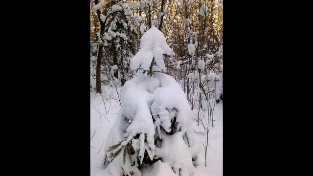 ЗИМА Снег А Городницкий смотреть онлайн