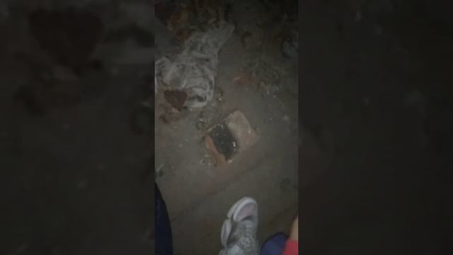 Сходил в заброшенный дом в деревне Кромы смотреть онлайн