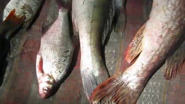 Улов. смотреть онлайн