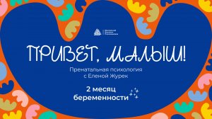 Привет, малыш! / Пренатальная психология с Еленой Журек / 2 месяц беременности / МИП