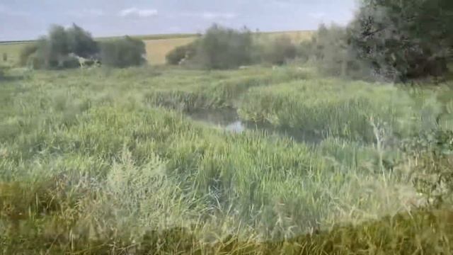 Охота на утку , очень коротко но результативно смотреть онлайн