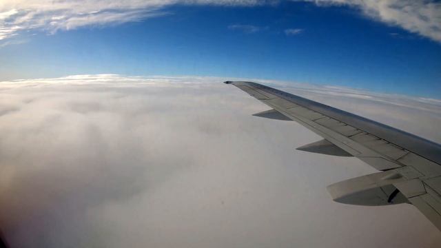 Uzbekistan Airways Airbus А320 - Business Class Review