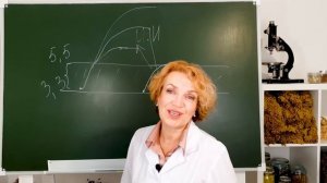 ВЕЛИКИЙ ПОСТ ЛЕЧЕБНОЕ ПИТАНИЕ -||- ПОСТ БУДЕТ ПОСИЛЬНЫМ