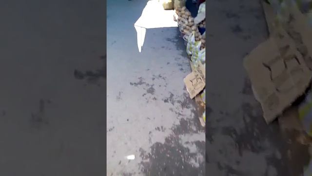 Рынок Алтын Орда смотреть онлайн