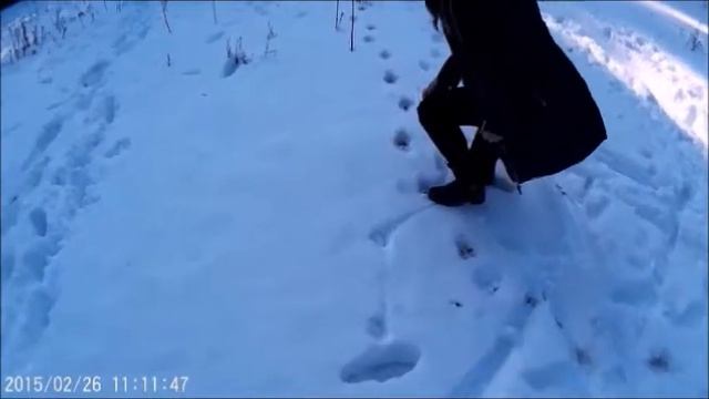 БО Озерный: ФИТ11 смотреть онлайн