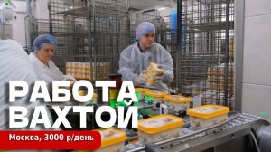 Как живут вахтовики в общаге, чем их КОРМЯТ и что ПЛАТЯТ