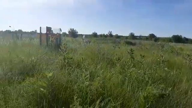 Участок в снт Вильямса Кагальницкий район смотреть онлайн