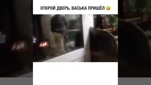 ОТКРОЙ ДВЕРЬ ВАСЕ смотреть онлайн