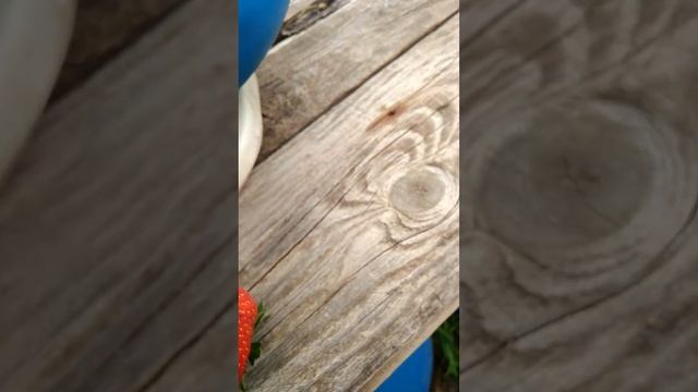 19.07.2022 Мальвина смотреть онлайн