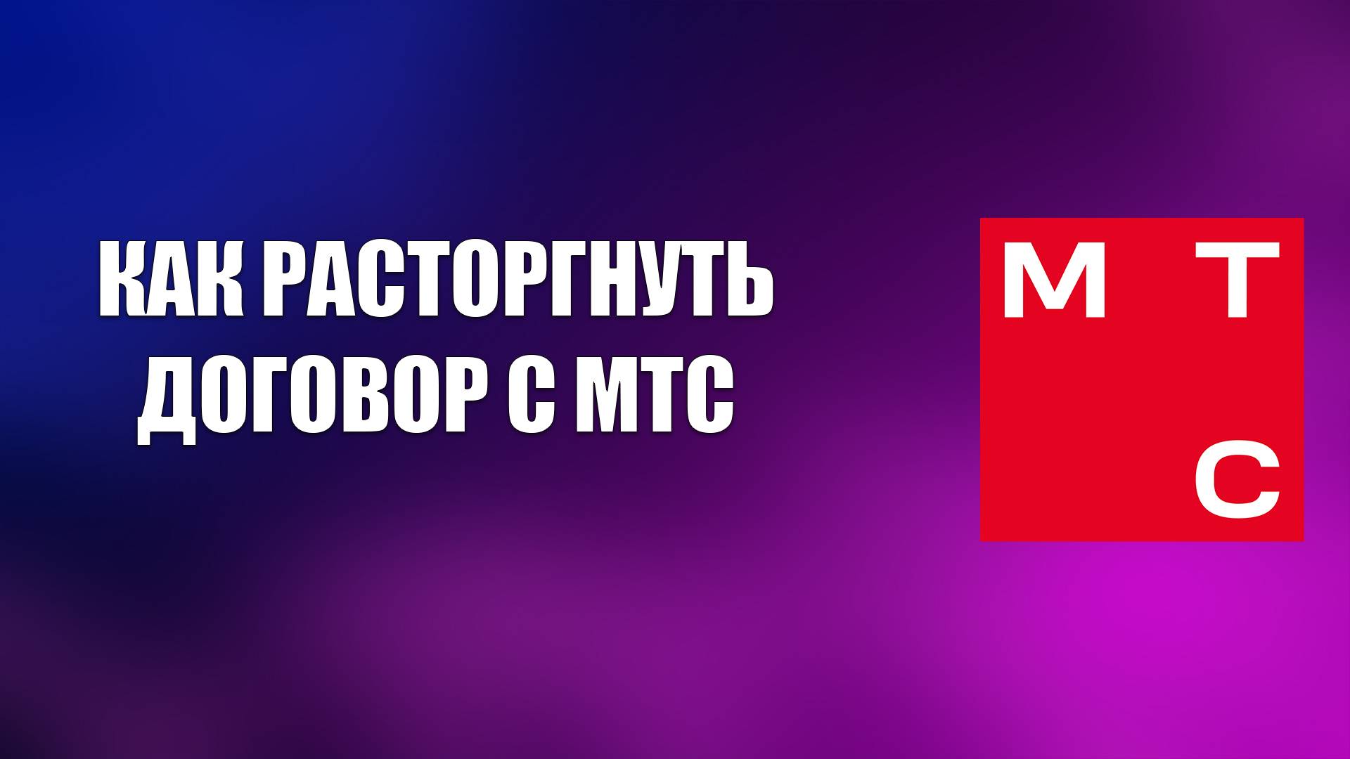 Всезнающий Енот