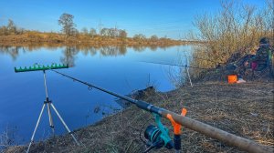 ЛОВЛЯ СЫРТИ НА ФИДЕР НА РЕКЕ ЛУГА | РЫБАЛКА С НОЧЕВКОЙ В ПАЛАТКЕ | КОСТЕР, ШАШЛЫК И ПОЛНЫЙ РЕЛАКС!