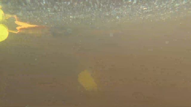 Отдых в лесу с семьей в палатке. Supboard (сап) по реке Орша