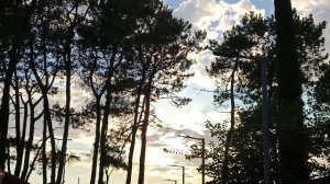 Отдых в Уреки в августе.  Грузия. Мои впечатления.