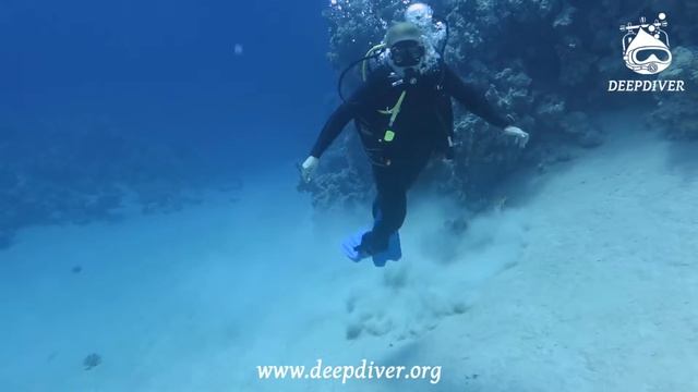 Первые шаги в дайвинге с Deepdiver смотреть онлайн