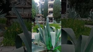 санаторий Гурзуфский. Гурзуф 2024. вечер скрипки.