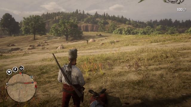 Винтовка Спрингфилд vs болтовая винтовка: оружие в рдр2 онлайн (РДО) смотреть онлайн