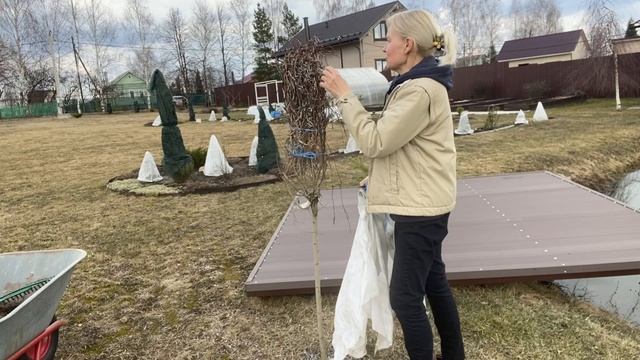 Весенние работы в саду#🌳Обработали сад от вредителей#Первые посевы в теплице#🌱Почистили пруд29.05