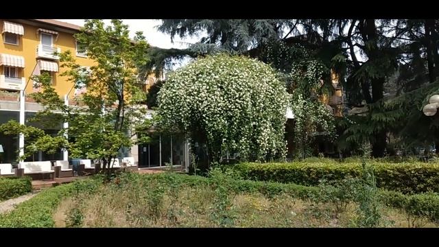 Италия/Эмилия-Романья/Монтичелли Терме.Термальный курорт/Лечебные грязи,ванны и др./Monticelli Term смотреть онлайн