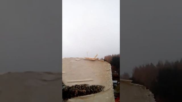 Димон Лист. Пром Альп, Арбористика смотреть онлайн