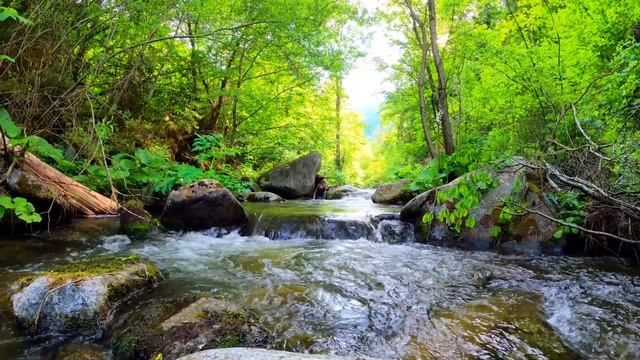 4K Nature Video 💚 HD Nature Video 4K Download With Relaxing Music - Waterfall Video Compilation