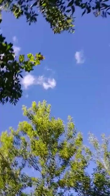 Im ПРЫГАТЬ С КРЫШИ.