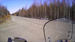 23 апреля 2025. IRBIS GARPIA 250