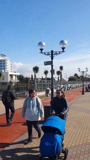 ‼️СИРИУС НА СВЯЗИ‼️ ВСЕМ СОЛНЕЧНОГО НАСТРОЕНИЯ🌞 #имеретинскаянабережная #сириус #адлер #сочи смотреть онлайн