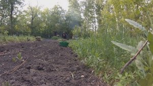 Делаем новые грядки на заросшем участке