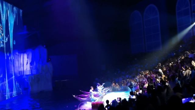 Дельфины и русалка в Харбинском полярном аквариуме (Harbin Polarland), г. Харбин