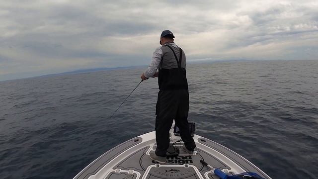 How to catch deep water SNAPPER on SQUIDTREX Vibes - Nomad Design смотреть онлайн