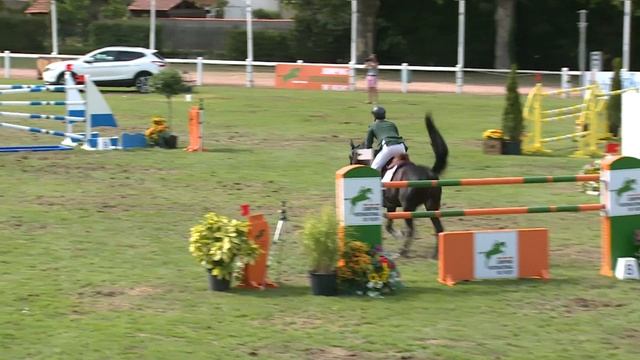 Vidar y Santiago Núñez Riva en el JO del GP del CSI 3* Vichy 12,7,15 смотреть онлайн