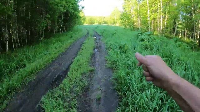 День 348. На перегонки с косулей. Дистанция 18 километров. смотреть онлайн