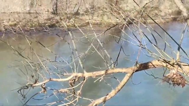 Взяли ПАЛАТКУ и поехали "куда глаза глядят" в предгорья около станицы Шапшугской Краснодарского кра смотреть онлайн