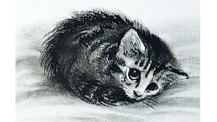 Рисуем маленького котенка сухой пастелью и угольным карандашом. смотреть онлайн