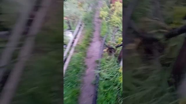 ДОБИЛ ДВА СТАРЫХ ТЕЛЕФОНА ПИСТОЛЕТОМ, ЛОПАТОЙ, МОЛОТКОМ, ТОПОРОМ. смотреть онлайн