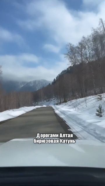 #природа #путешествия #алтай #горныйалтай #горы #дорога смотреть онлайн