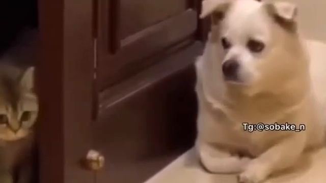 Когда хотел уйти пораньше с работы 🤣🤣 смотреть онлайн