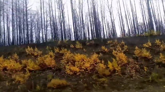 В Екатеринбург по делам. Прогулка на площадке. Жизнь Уральской Семьи смотреть онлайн