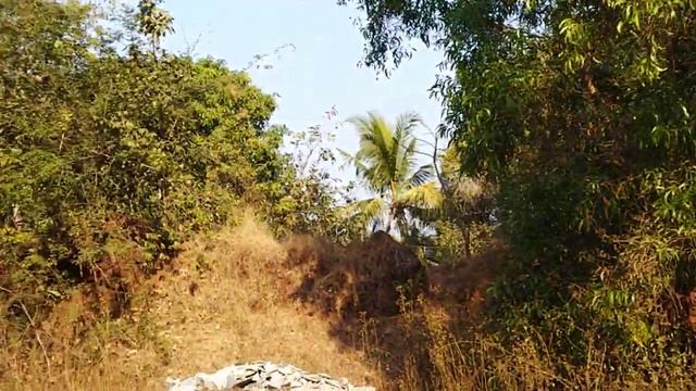 Красоты Индии без фильтров смотреть онлайн