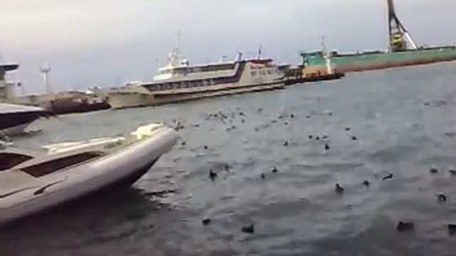 sochi mor.port смотреть онлайн
