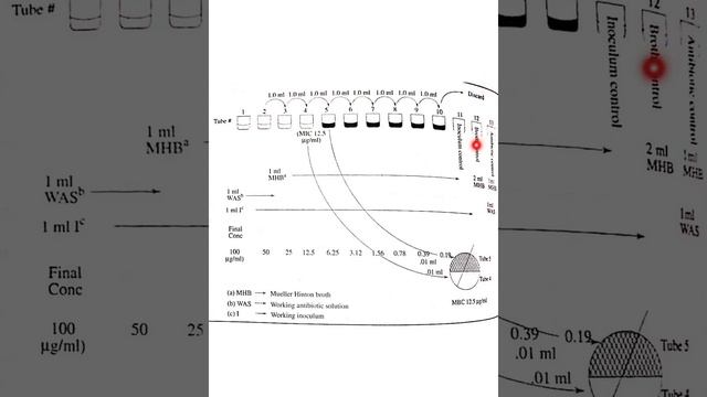 Part-3|Antibiotic susceptibility test |Dilution test |Bscmls3|DIPS IMT |Ppt audio lecture смотреть онлайн