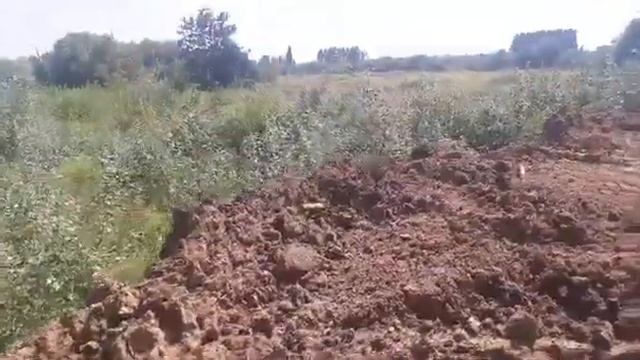 Козюрине болото смотреть онлайн