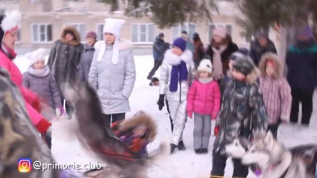 «Weekend в Приморье» 17.11 🐕 смотреть онлайн